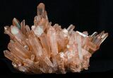 Giant Tangerine Quartz Crystal Cluster - Madagascar #32265-2